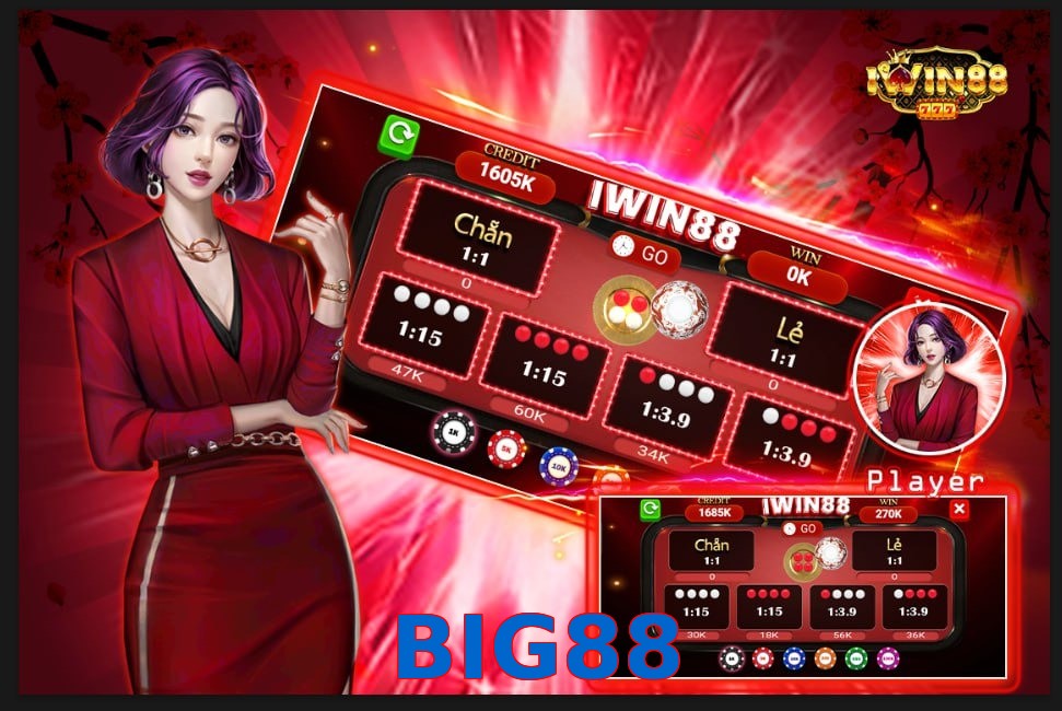 BIG88